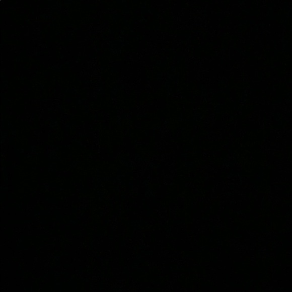 Meet your Posher, Lexi - Picture 1 of 1